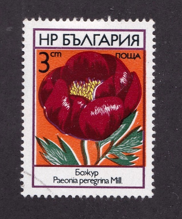 Bulgaria           2090          used