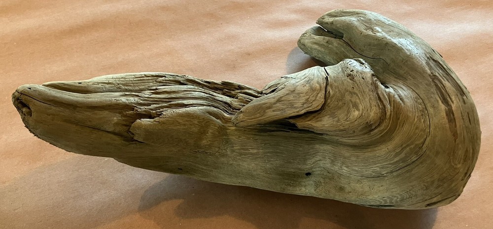 Beautiful Driftwood
