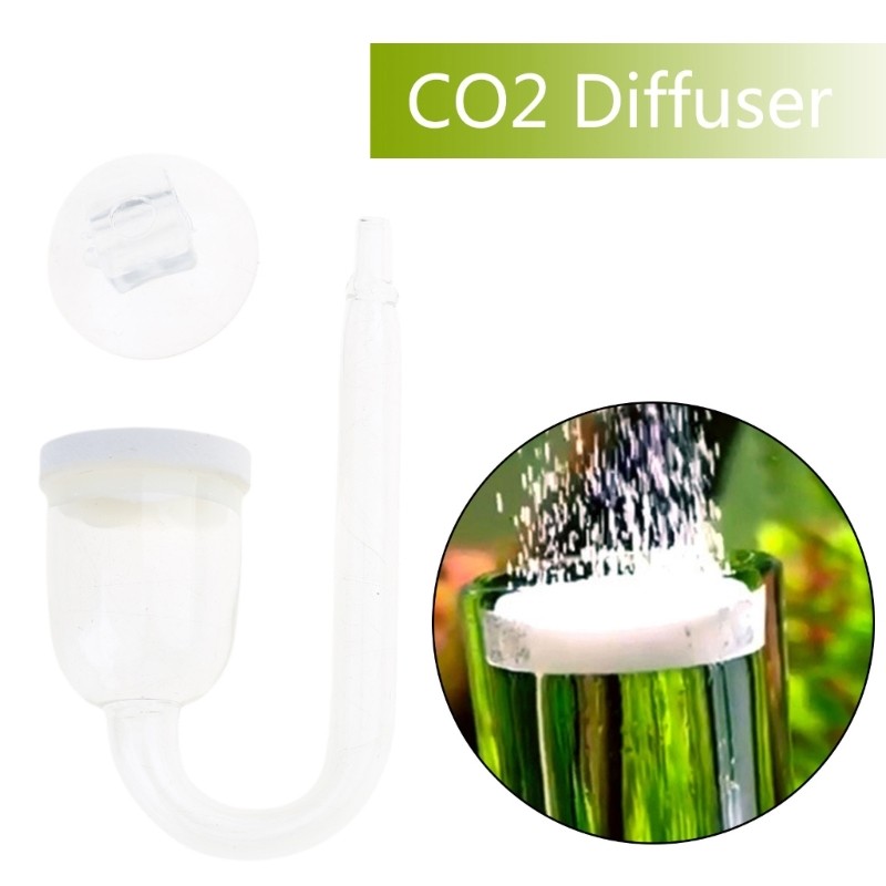 for CO2 Diffuser Clear Glass Atomizer for Aquarium Planted for Tank Tiny