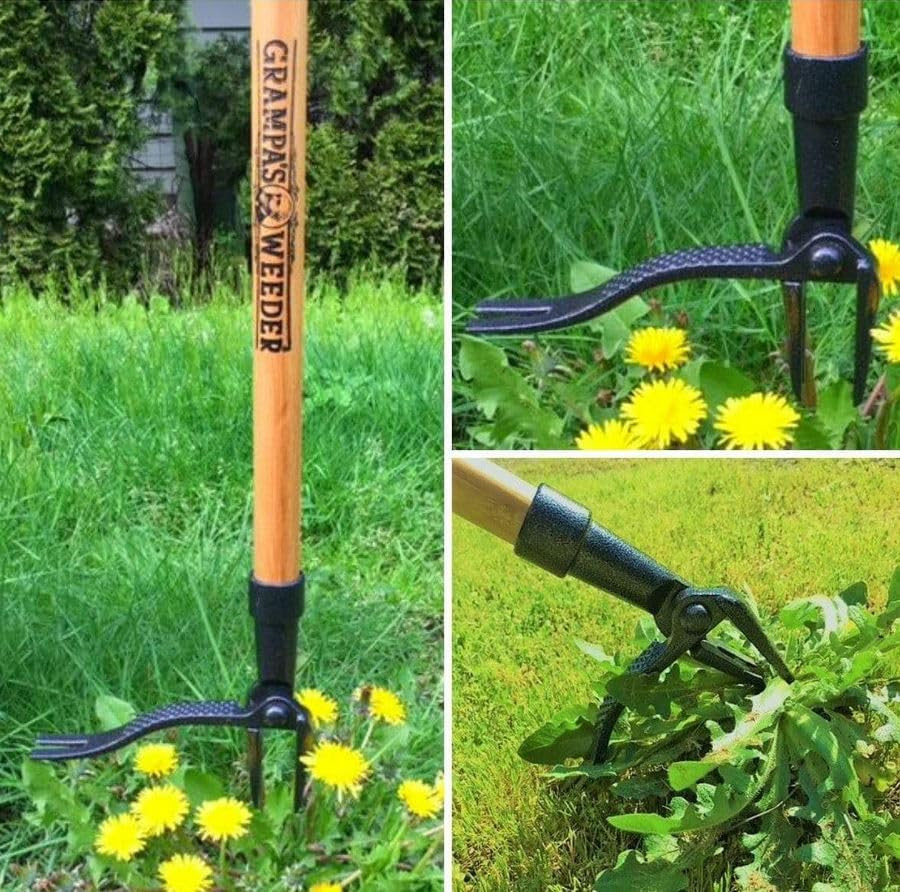 - the Original Stand up Weed Puller Tool with Long Handle - Made with Real Bambo