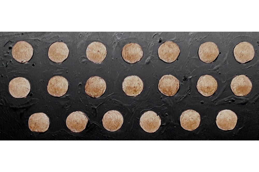 15mm Fantasy Dark Elf Lancer Shield (20 Shields)