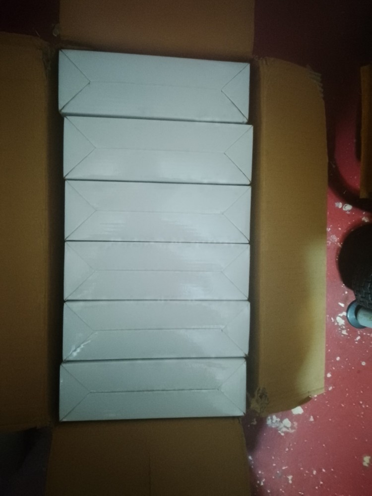 Tanlux Green Exit Sign