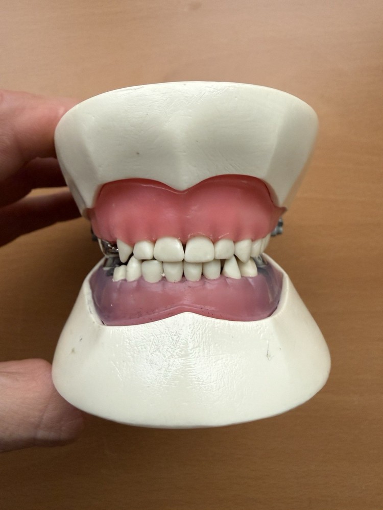 Columbia Dental Dentoform Model 760