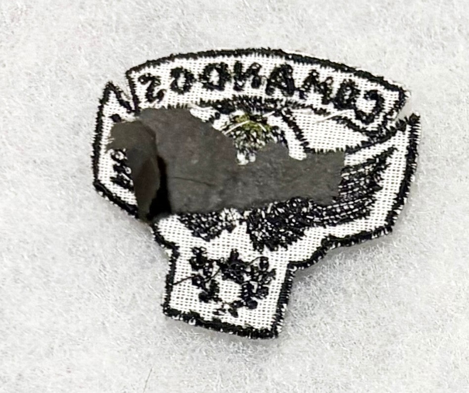 Chile Army Commandos Airborne Para Wing Patch