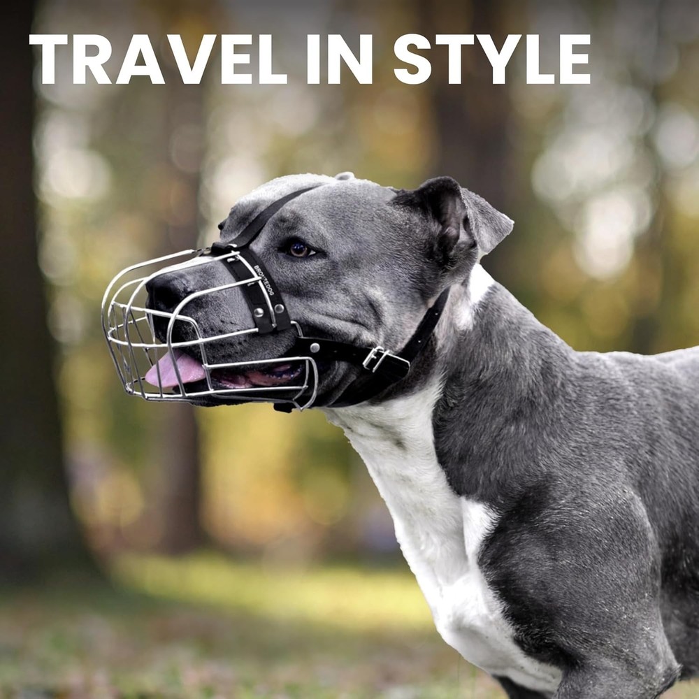 Pitbull Dog Muzzle Metal Mask Amstaff Wire Basket Pit Bull Adjustable Leather