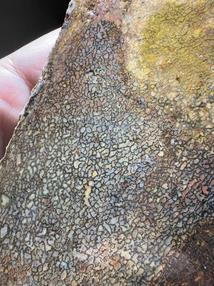 Dinosaur bone rough **hxtled slab.