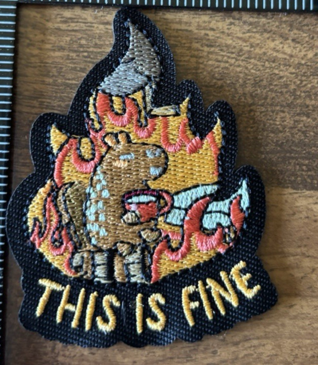 THIS IS FINE embroidered iron on sew on patch NEW
