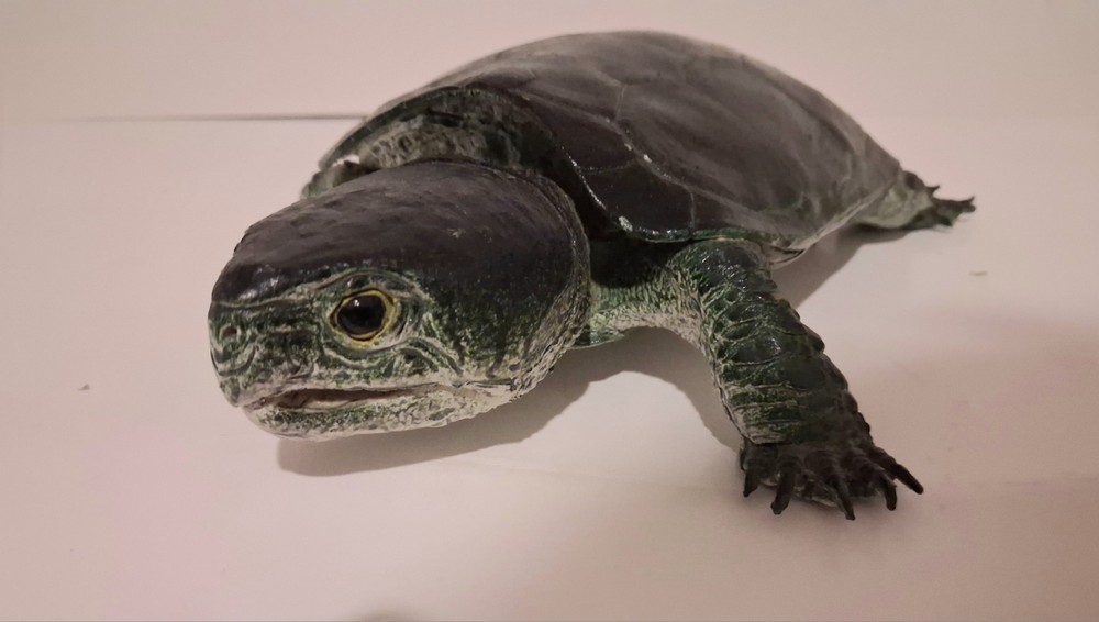 AAA Realistic PVC Big Headed/Snapping Turtle