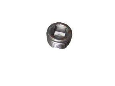 Genuine GM Plug 444788