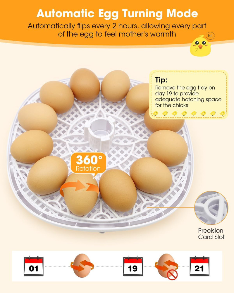 Egg Incubator with Automatic Egg Turning and Humidity Control - 12/24 Eggs, 360°