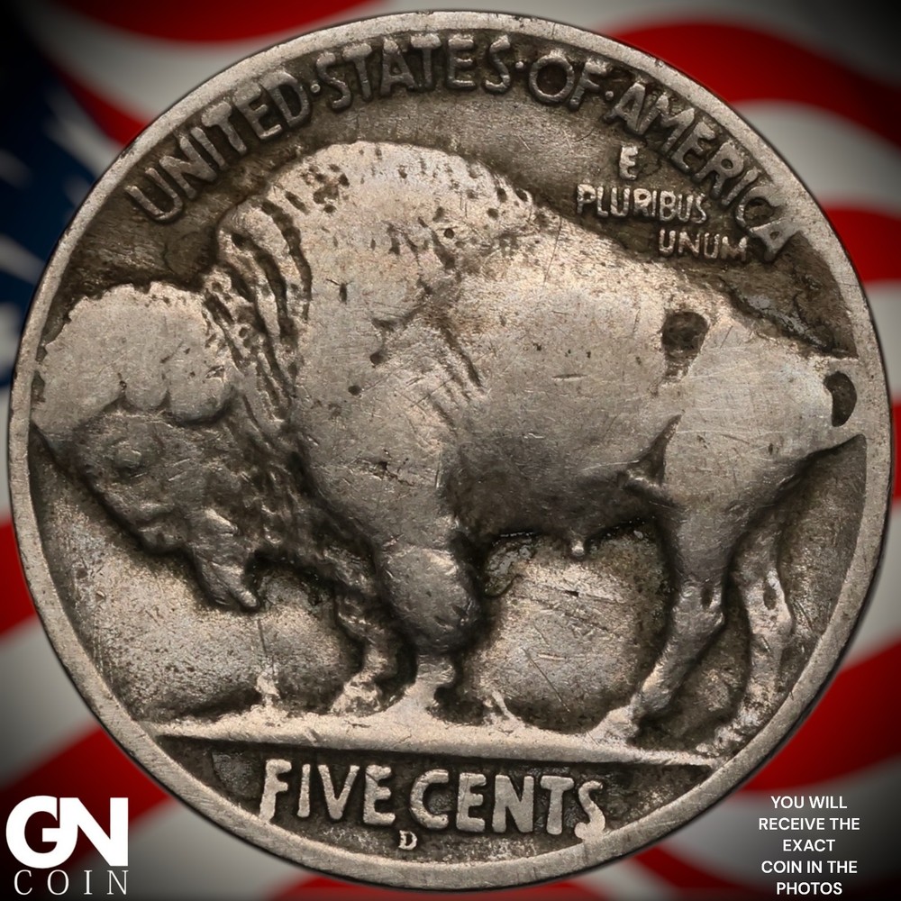 1919 D Buffalo Nickel A3394