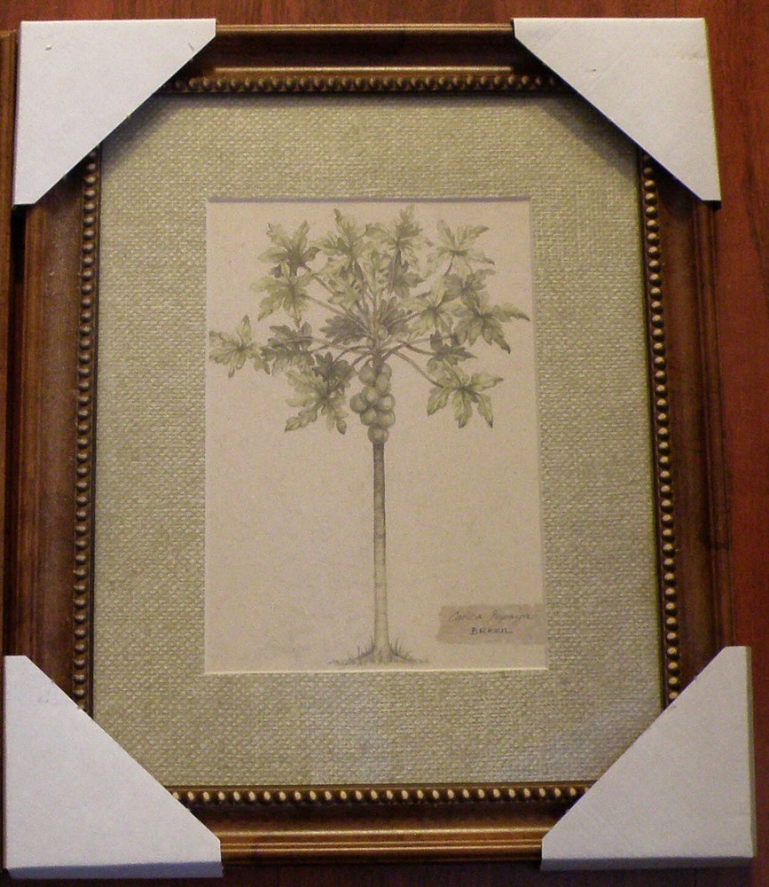 2 Tropical Palm Pictures In Frame