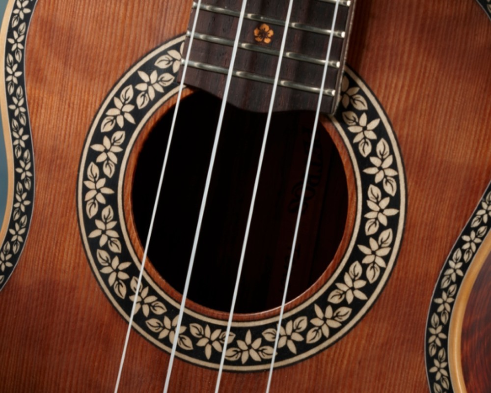 Ukulele Rosette, Uke 2