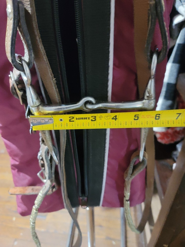 Silver Western Briddle Used On A Large Pony