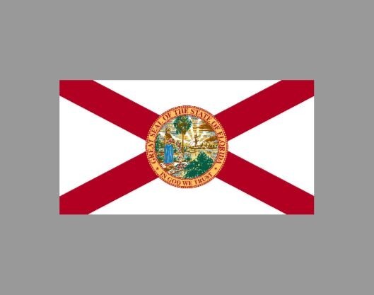 Florida Flag Fridge Magnet