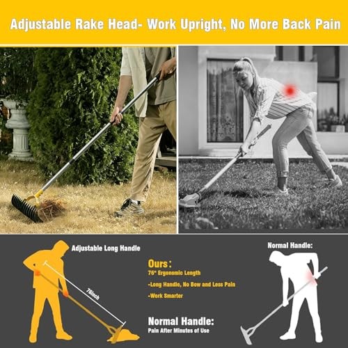Thatch Rakeide Lawn Dethatcher Rake, Heavy Duty Rake for Dethatching with 15" W