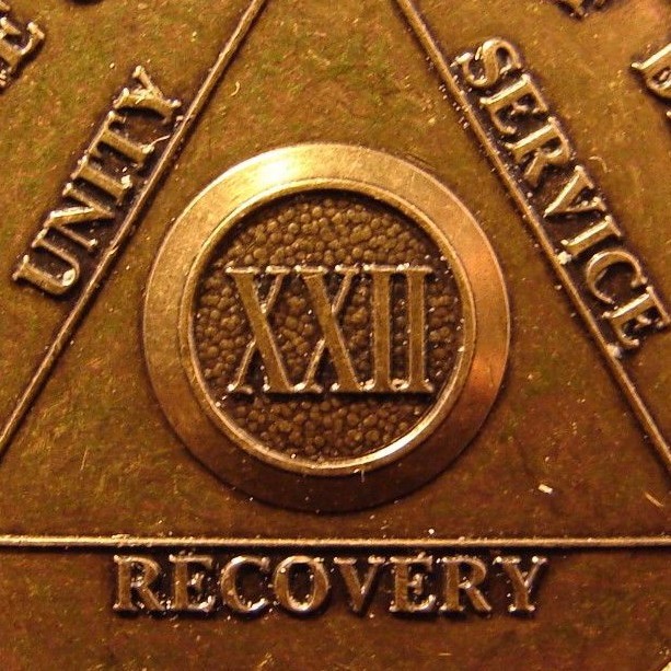 Alcoholics Anonymous Bronze Medallion 22 Year AA SYMBOL BACK Chip Coin Token