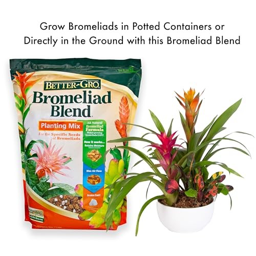 Bromeliad Blend 8 Quart
