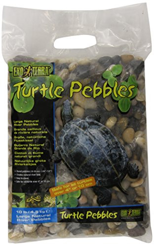 Turtle Pebbles, Large