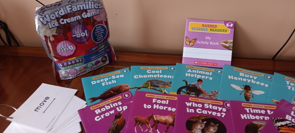 Homeschool Early Reader Scholastic, Hooked On Phonics Books, Game and Flashcards