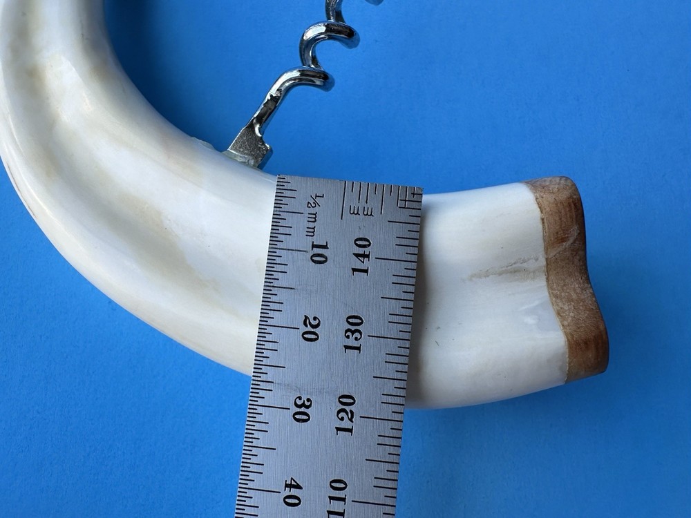 Warthog Tusk Cork Screw