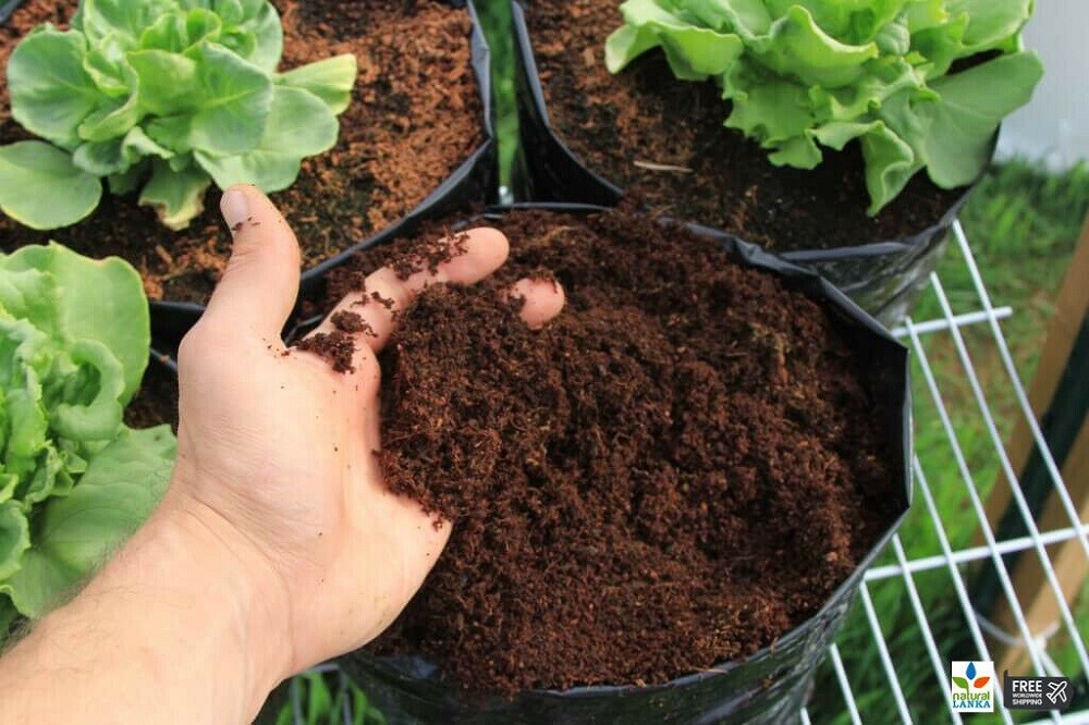 COCO COIR / COCO PEAT / 100% NATURAL ORGANIC COMPOST / HYDROPONIC GROWING MEDIA