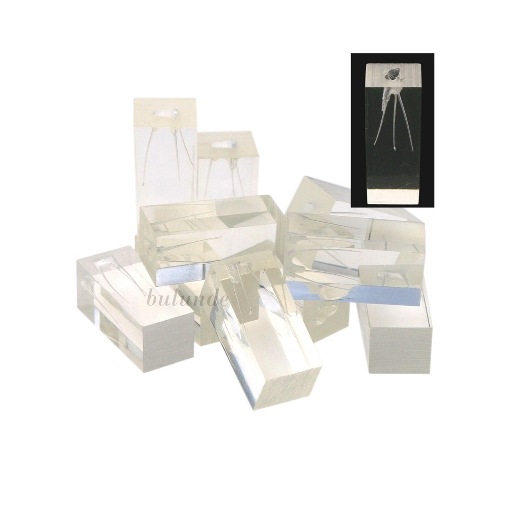 10pcs Dental Endodontic Practice Model 3 Root Canals Endo Training Block Clear