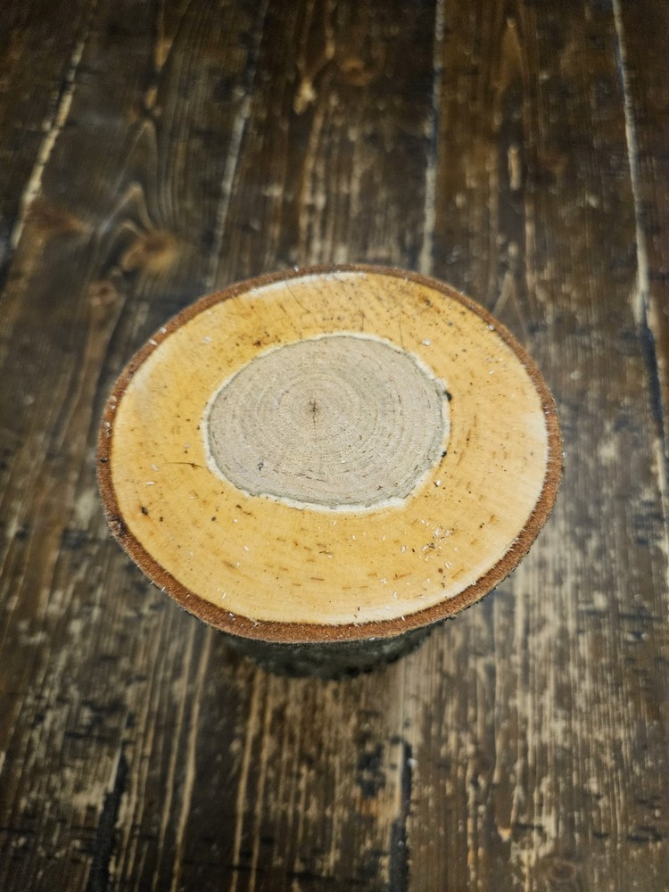 CHERRY Turning Crotch Log 9" Long C297