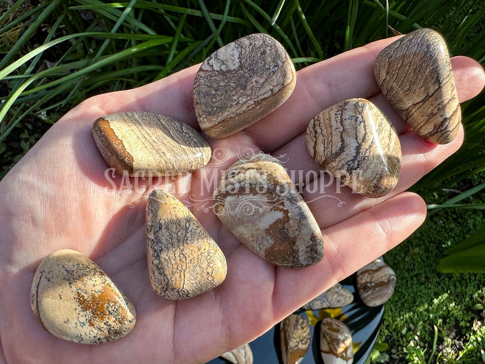 Picture Jasper Tumbled Stone Dreamwork Remote Viewing Creativity Visioning