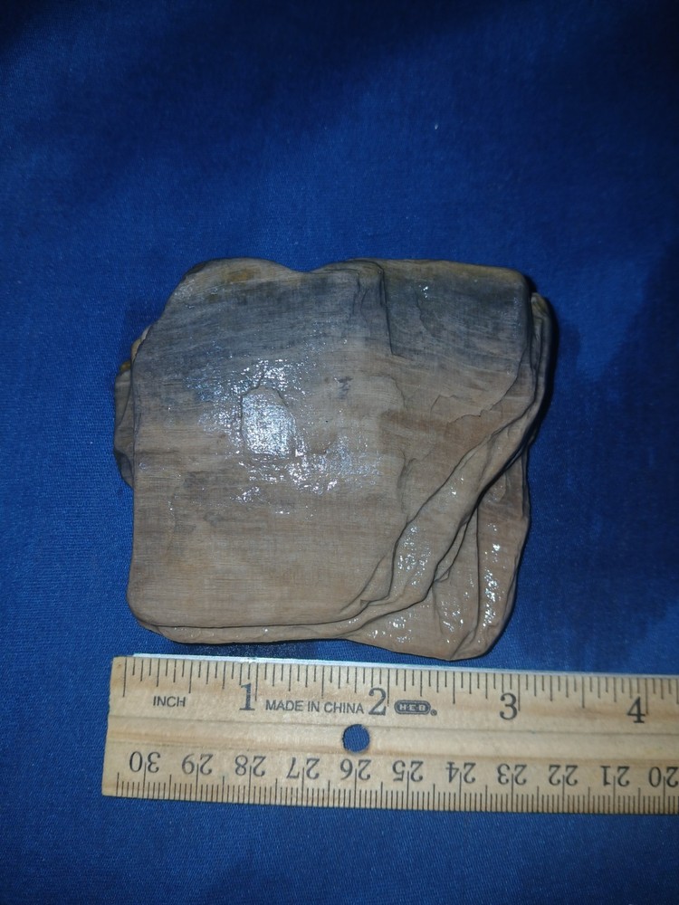 8 oz Texas Petrified Wood