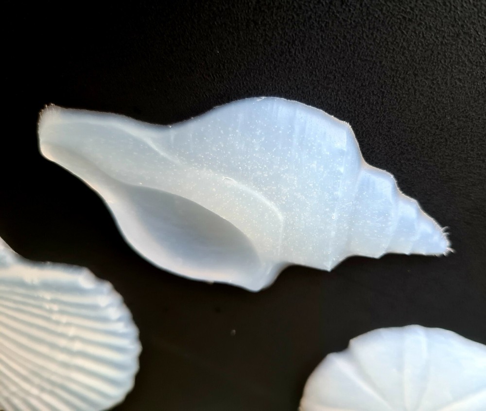 SEASHELL Silicone Inlay Molds AU