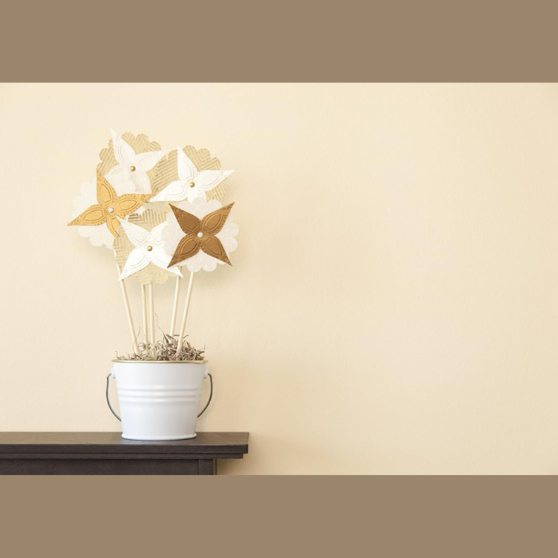 Cricut Cuttlebug 5"x7" Embossing Folder/Border Set Fiesta 3D