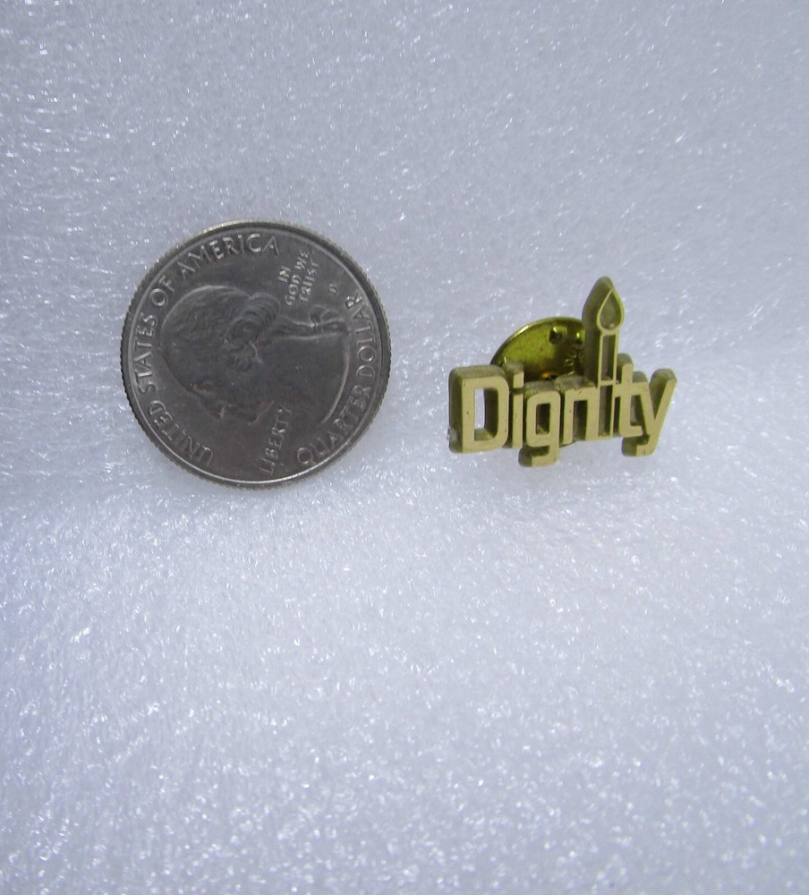 Dignity Plastic Pin