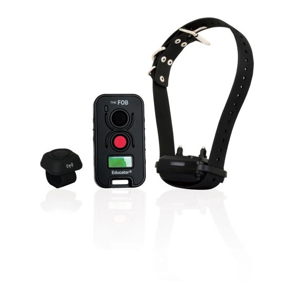 FOB Educator FE-580B with Finger Button by E-Collar Technologies