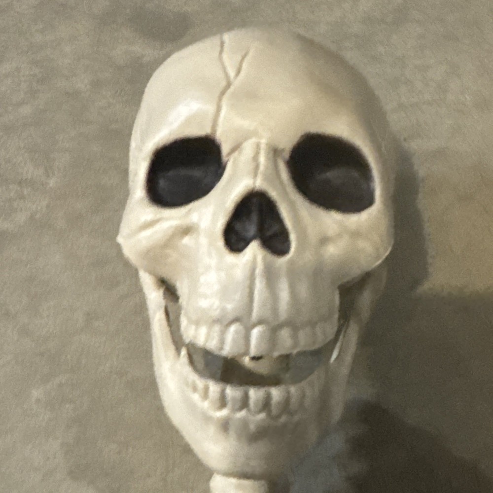 36" Poseable Bone Skeleton Halloween Decorative Prop Off-White -
