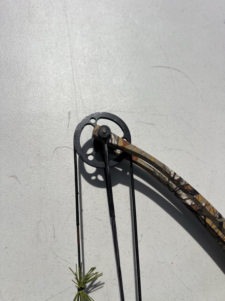 vintage compound bow “browing”