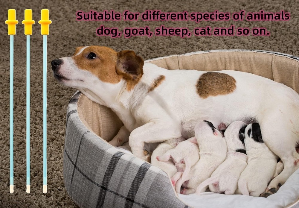 Artificial Insemination Dog Breed Kit, 10 Set Essentials