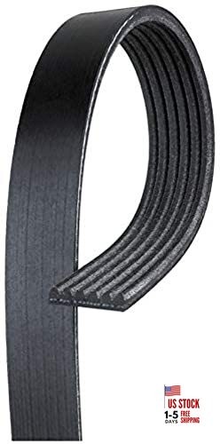 K060966 Serpentine Belt