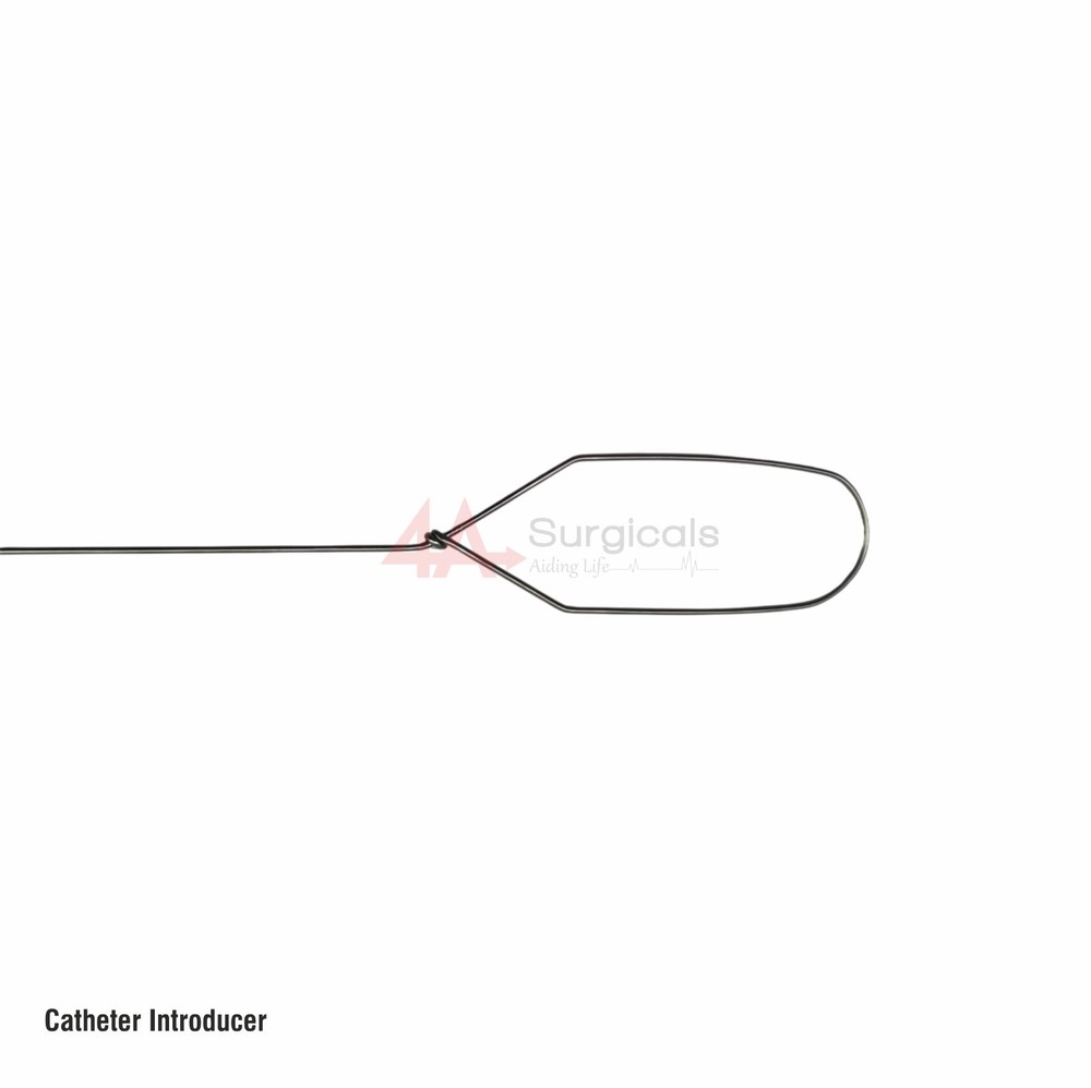 4A Catheter Introducer