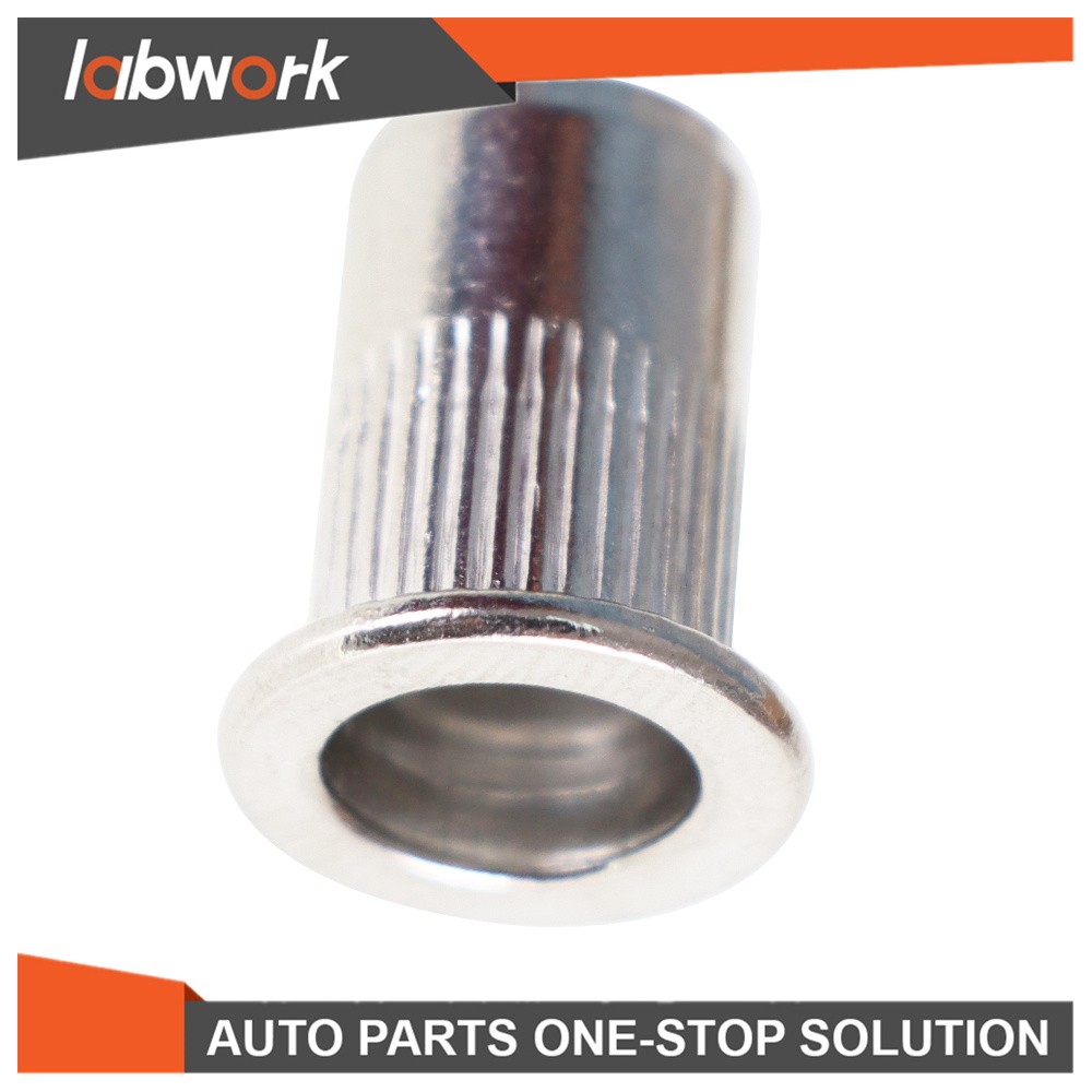 Labwork Rivet Nut Gun Kit Rivnut Tool Setter Thread Setting Nutsert Tool 900 Pcs