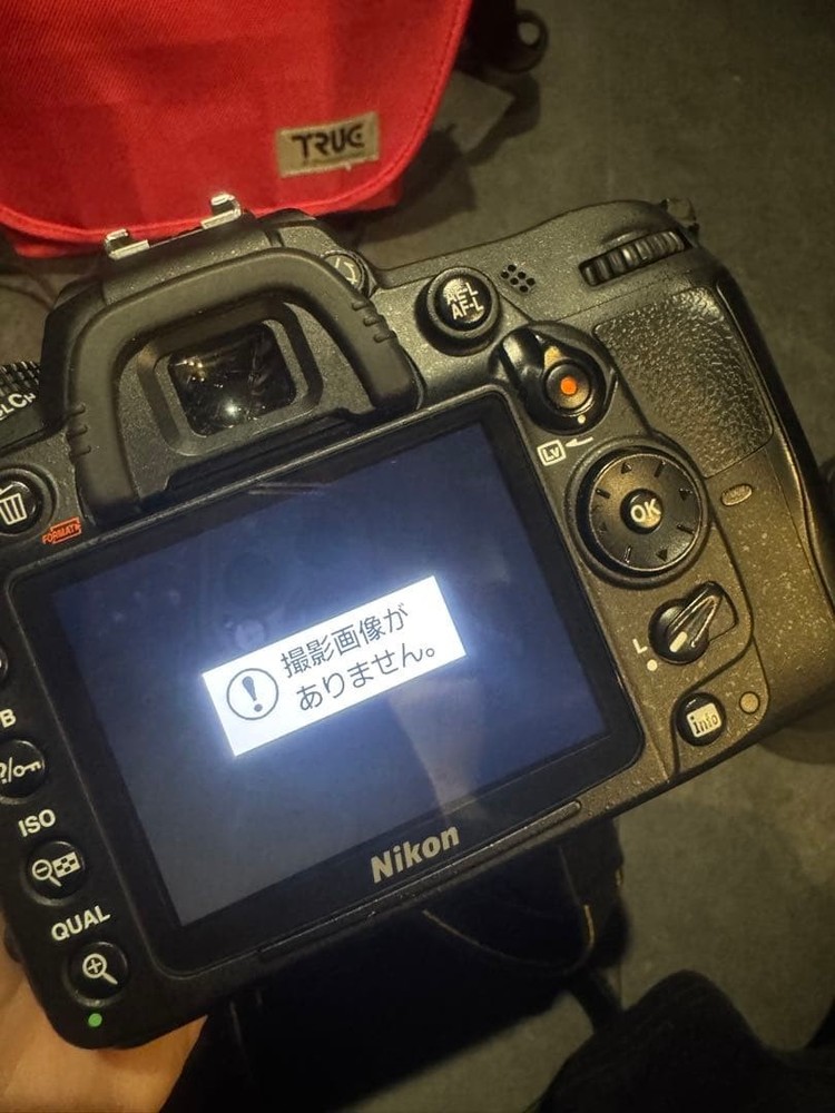 Nikon D7000 365410