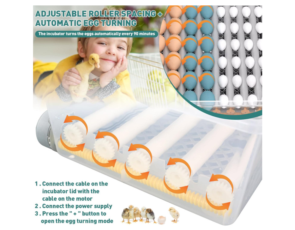 Automatic Incubator, Poultry Egg Incubator with Automatic Rotation System