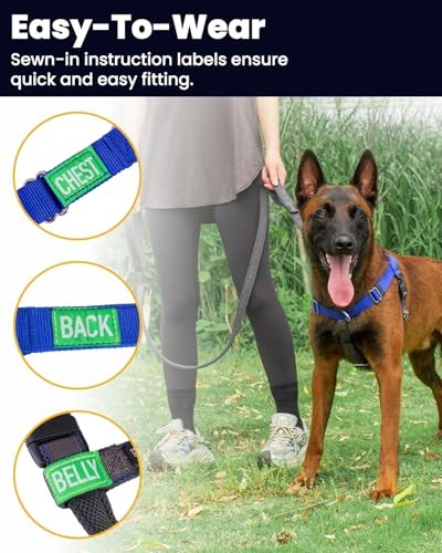 Freedom No Pull Harness for Dog with Front Clip, Designed for Large Black