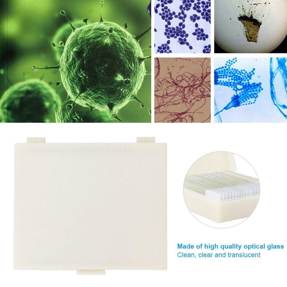 20pcs Microscope Slides Biology And Pathology Prepared Microbiological...