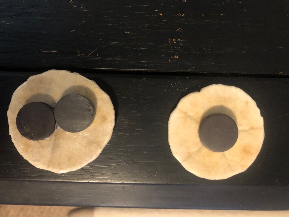 Sand Dollar Magnet (1)🔥Hand Made and authentic please read description