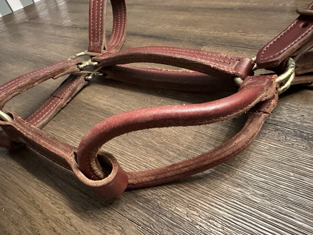 Horse Tack - Leather Track Halter