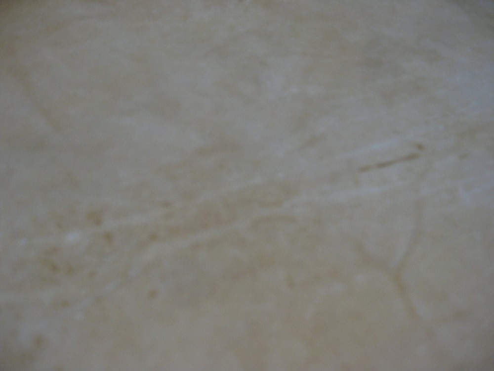 Buffed Deer Leather #0013060 Row 109