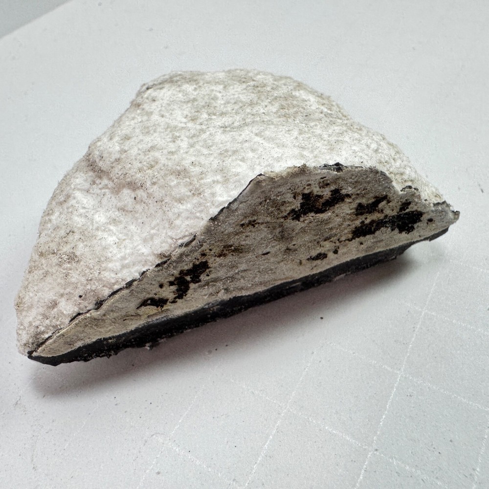 Space X Starship 34 - Recovered Heat Shield Tile - Flight 8