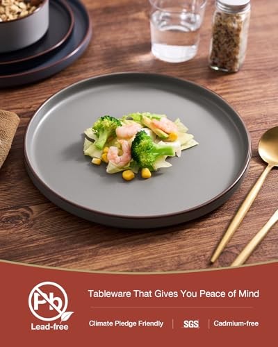 Nebula Ridge Stoneware Dinnerware Sets, Plates and Bowls Set(12pcs) Multicolor
