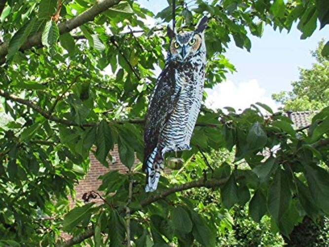 FB142 Owl Scare Crows Decoy